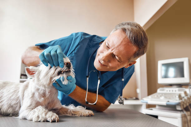Best Emergency Wisdom Tooth Extraction in Henderson, LA